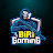 BiRi Gaming