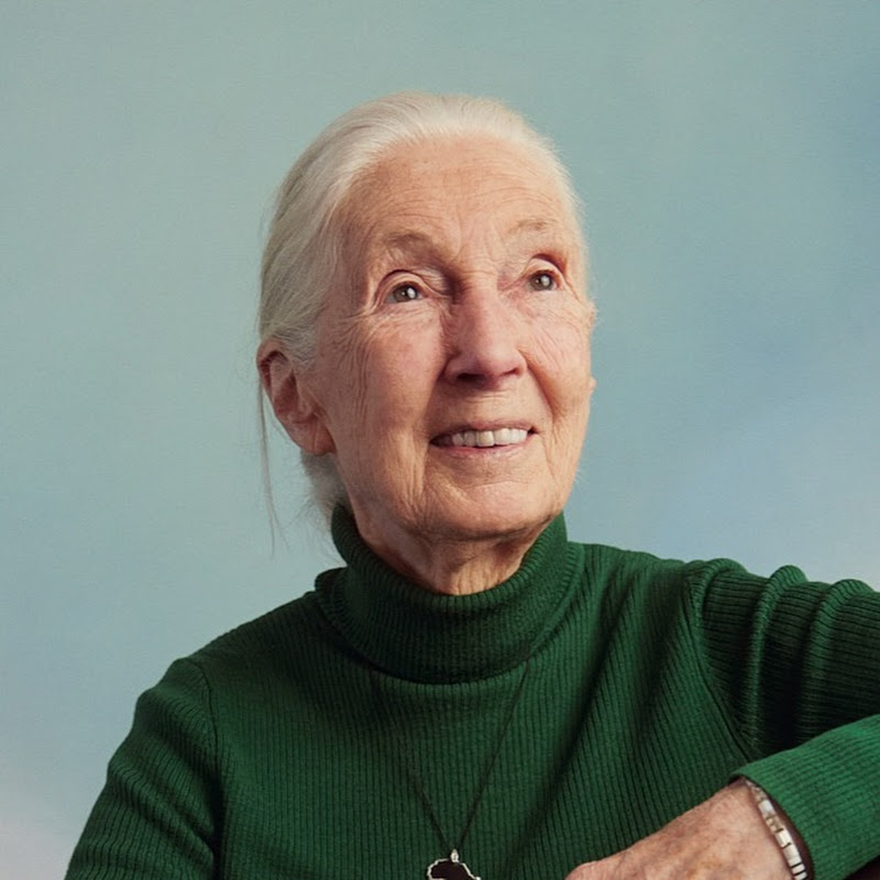 Jane Goodall Institute Of Canada