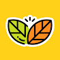 Botanas Blofis