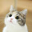 @소중한꿀단지