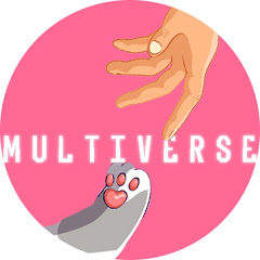 multiverse.
