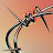@a_itor's avatar