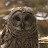 @jeffolson4731 Avatar