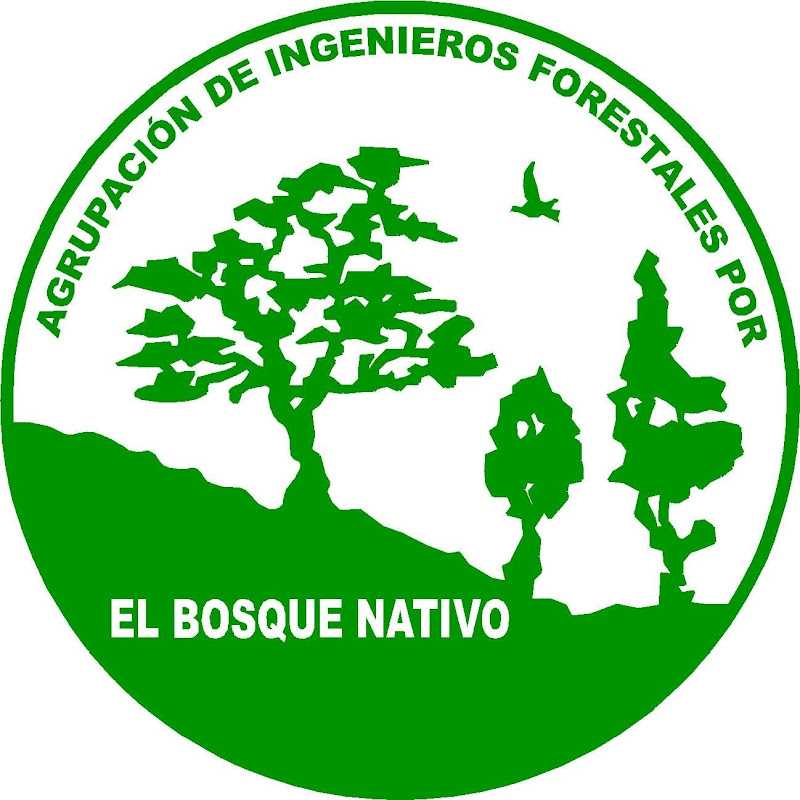 AIFBN Chile icon