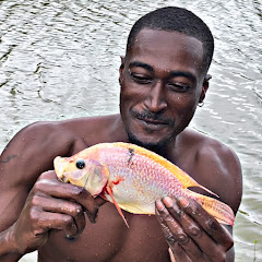 Fowl wildlife tv net worth