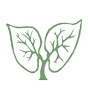 Poplar Pulmonary Wellness logo