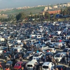 سوق السيارات في الجزائر 