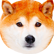 GON channel