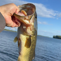 钓鱼日记 Fishing Diary