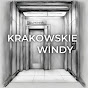 Krakowskie windy