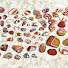 CpGnG0YdPKs-channel-avatar-Rock On Utah