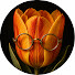 VkH83oYTV44-channel-avatar-Green Lore