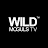 Wild Moguls TV