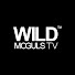LtOMwP8h5MI-channel-avatar-Wild Moguls TV