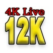 Japan 8K12K TV 