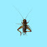 KWDrJKUVaIY-channel-avatar-Life memories