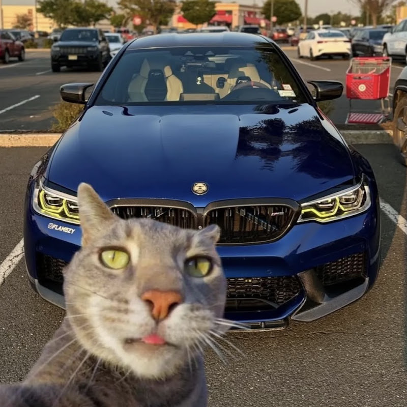 Daily Forza Horizon