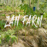 TG2HKKteCDk-channel-avatar-ZAN FARM