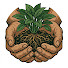 nPeH-I_N7r8-channel-avatar-The Honest Gardener