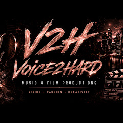Voice2Hard Music & Film Productions net worth