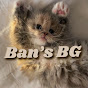 Ban's Backgrounds