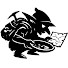 5W-v3dy0jkA-channel-avatar-NorthernGold