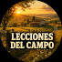 169BAitQGeg-channel-avatar-Lecciones del Campo