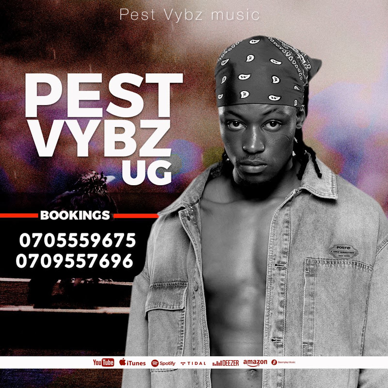 PEST VYBZ UG