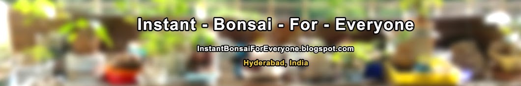 Apartment Bonsai by Vinny Chirayil YouTube-Kanal-Avatar