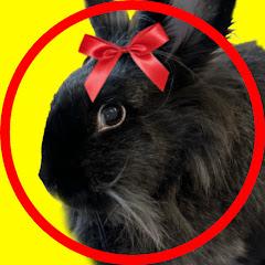 Jackpot Famous Avatar