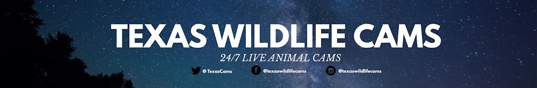 Texas Wildlife Cams Аватар канала YouTube
