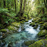 baO7oOyiGkc-channel-avatar-Relaxing Water Stream 