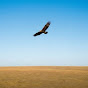 LIBsm_PL_6M-channel-avatar-Eternal Blue Sky