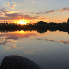 Friesian Horse Romania
