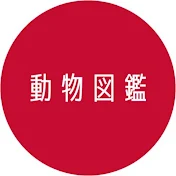 動物図鑑