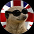 4_yHSdl3rY8-channel-avatar-MeerkatFan