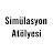 Simülasyon Atölyesi