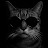 @cat_thing_music
