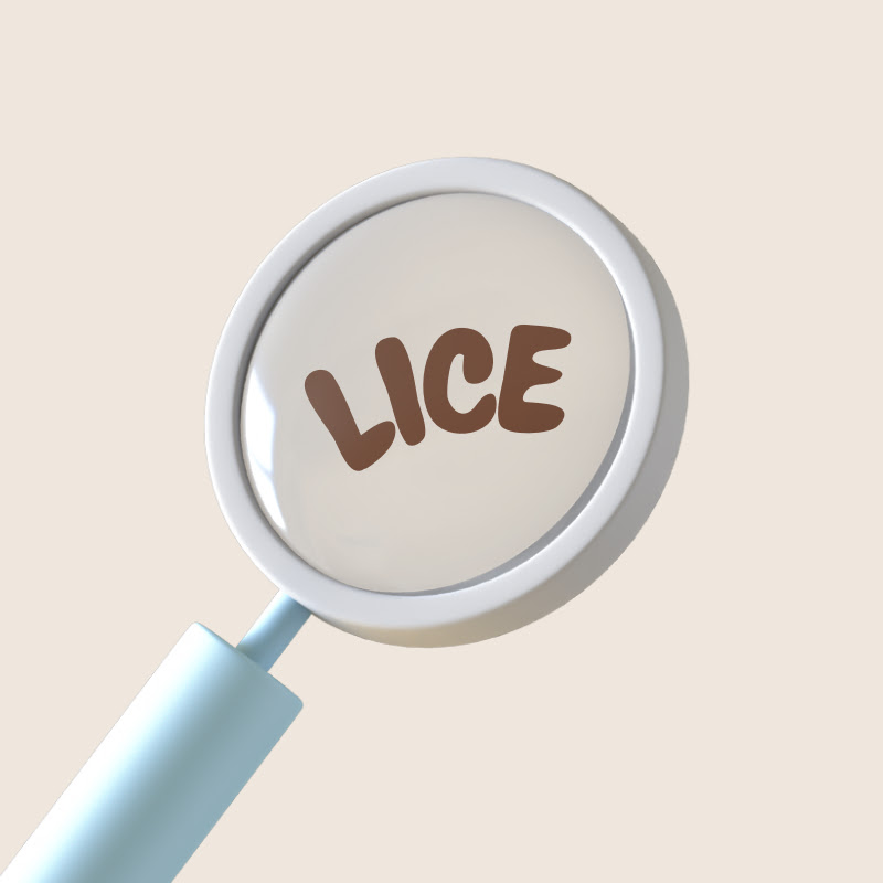 lice dev