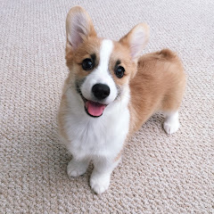 Thumbnail of related channel