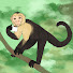 ulHg-coBtLA-channel-avatar-MonkeyOwl
