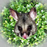 WIBLVJJPy8A-channel-avatar-Possum Problems