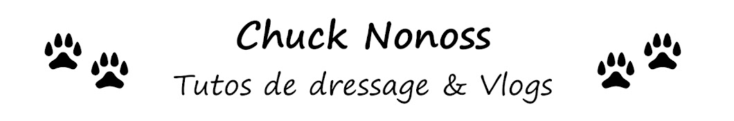 Chuck Nonoss YouTube channel avatar