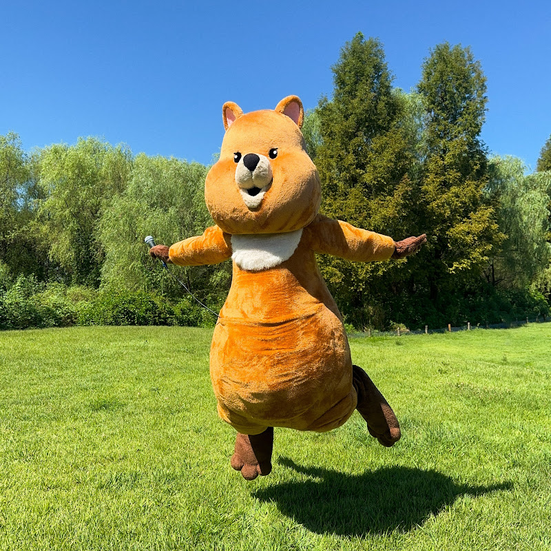 네이비쿼카 NavyQuokka