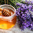 Honey Lavender ASMR
