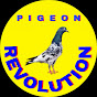 Pigeon Revolution