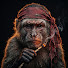 pD26332uYMo-channel-avatar-Powder Monkeys