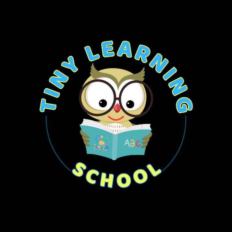Tiny Learning School