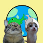 猫沢さんちのUSJ散歩