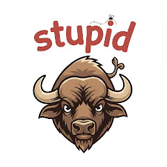 Stupidชาแนล